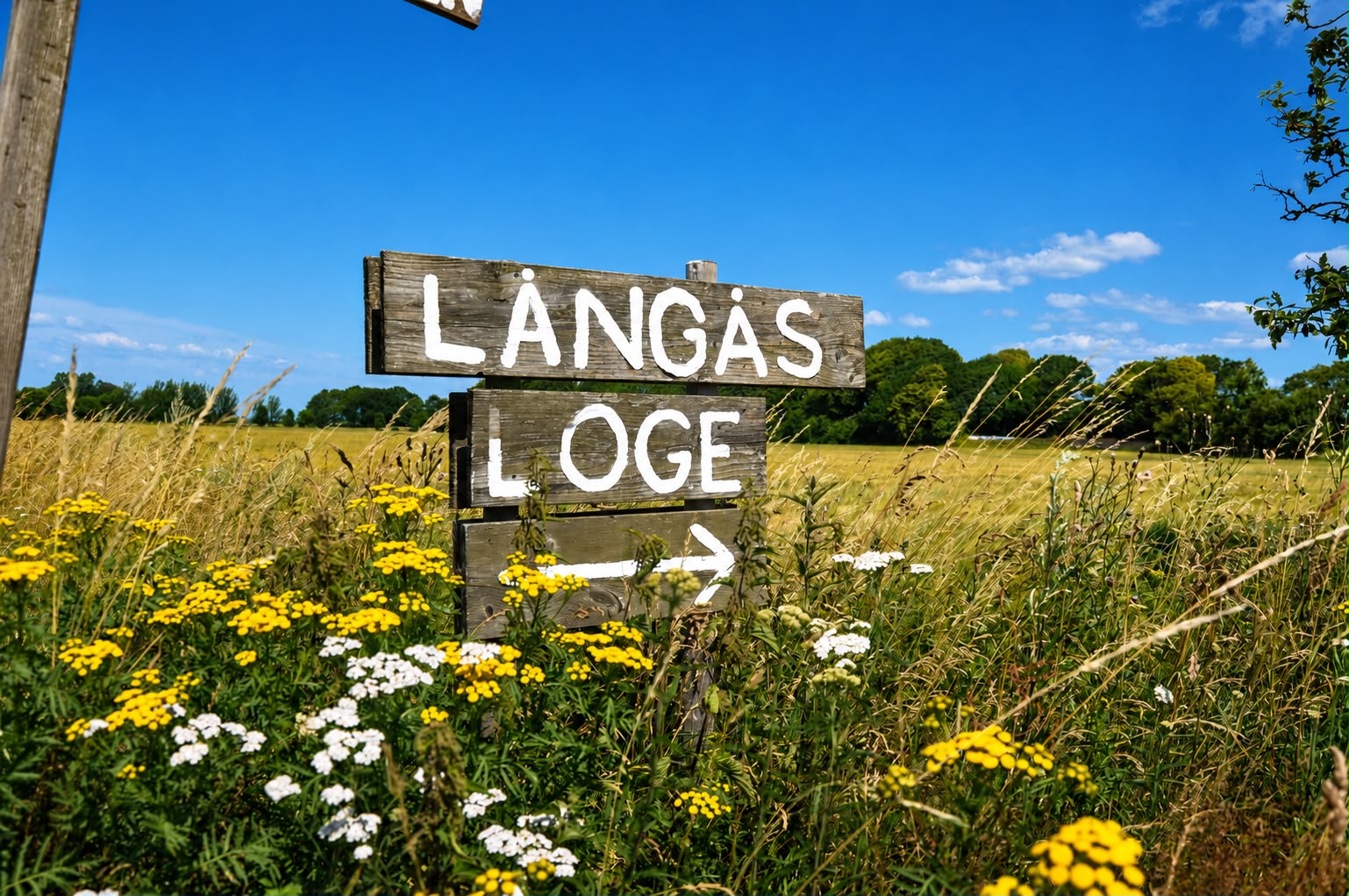 Handmålad skylt till Långås Loge bland ängsblommor